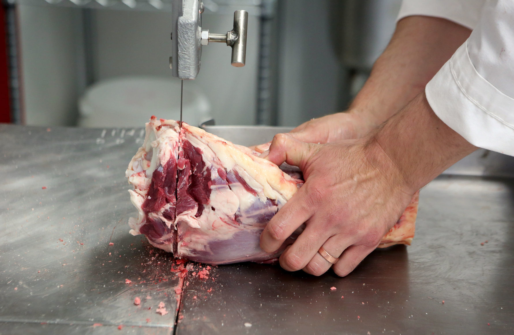 CONSCIOUS CARNIVORE